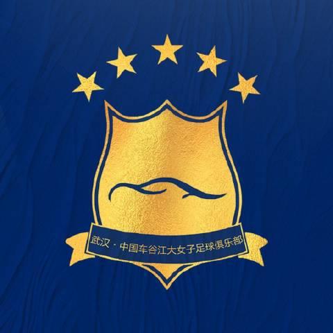 女超聯(lián)賽初季限薪限國腳，江大失優(yōu)秀隊(duì)員