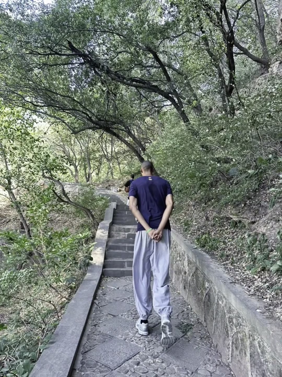 高僧心性文班被拍到背著手走在嵩山林間