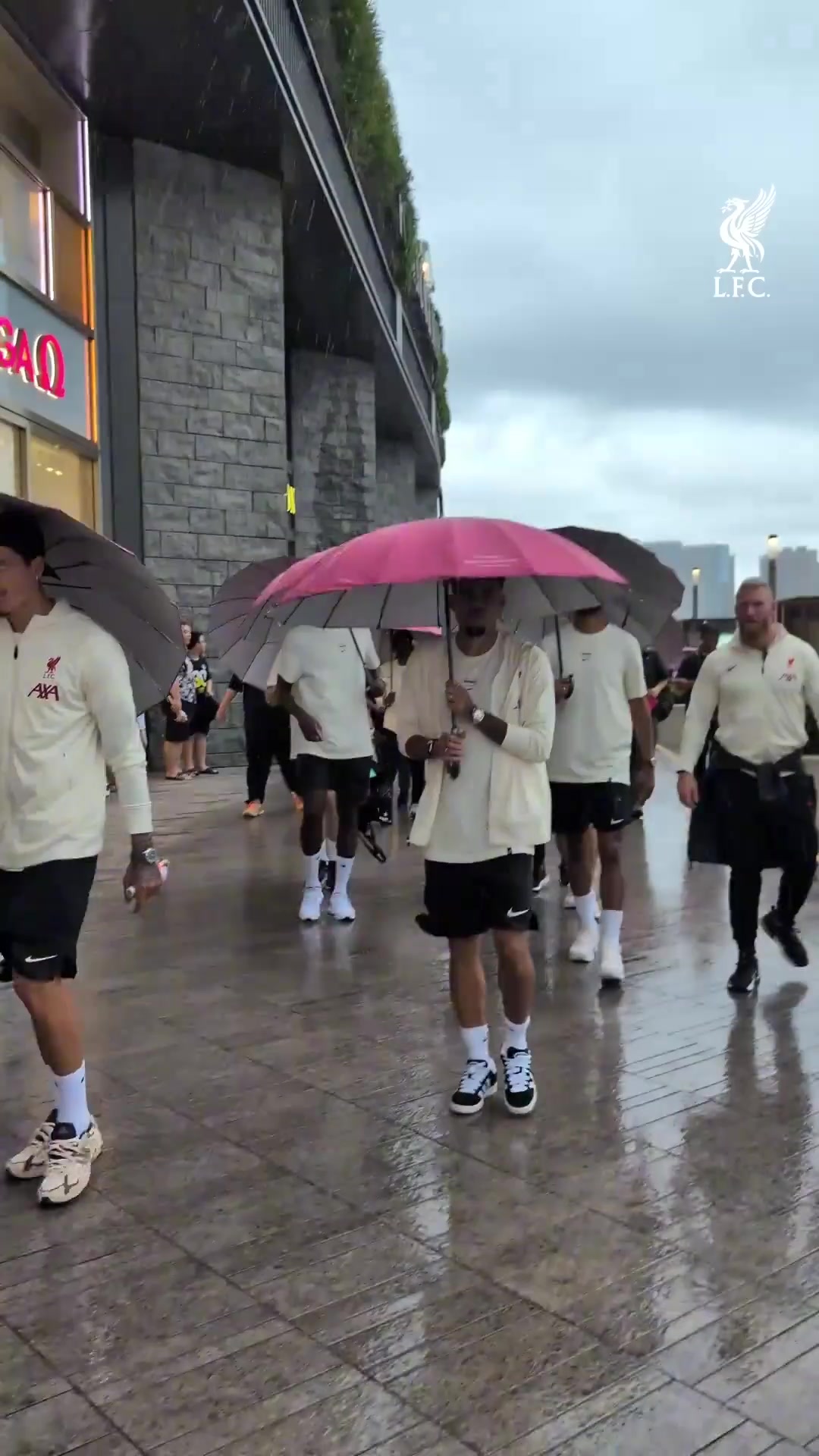 又是羨慕香港的球迷的一天利物浦全隊(duì)香港街頭悠閑散步