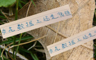 申花領(lǐng)跑榜首，進(jìn)球數(shù)第一，失球倒數(shù)第二少，18輪不??！