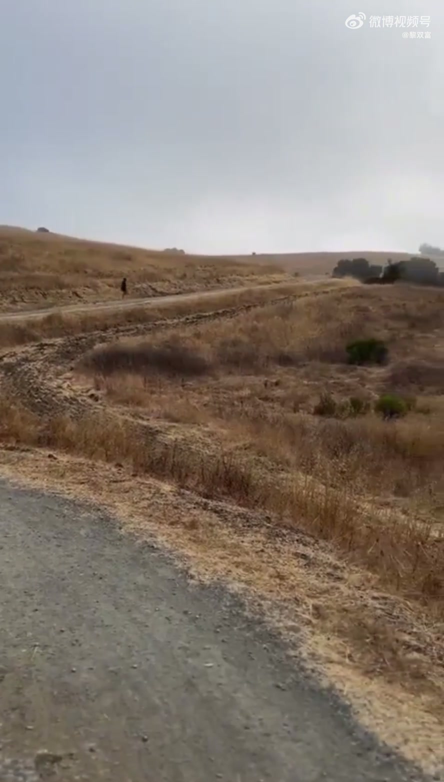 連庫里都選擇去戶外進行輕越野訓(xùn)練 吧友們你們還不趕緊跑起來