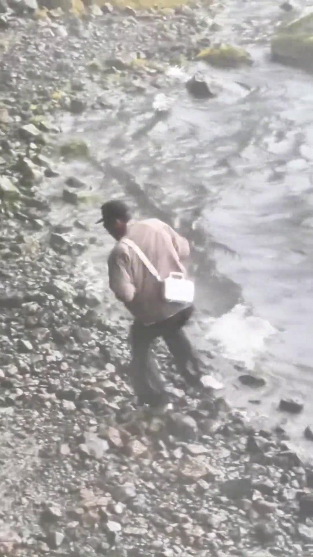 正在享受著旅行的布克 ...