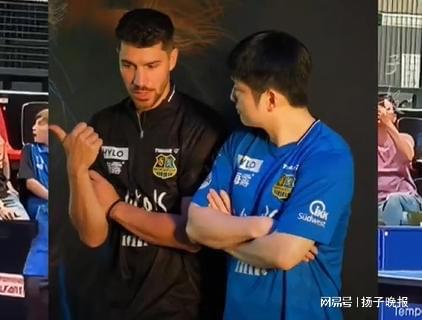 樊振東德甲首秀，一票難求，倒計(jì)時(shí)開啟。