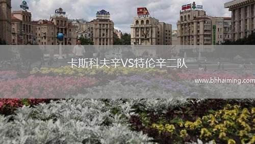 舒爾本VS林菲爾德