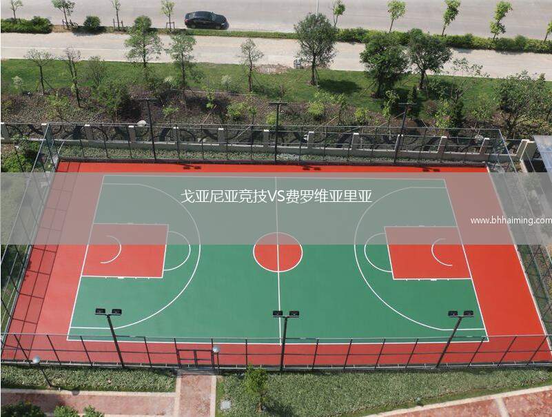 根斯堡VS格林斯比