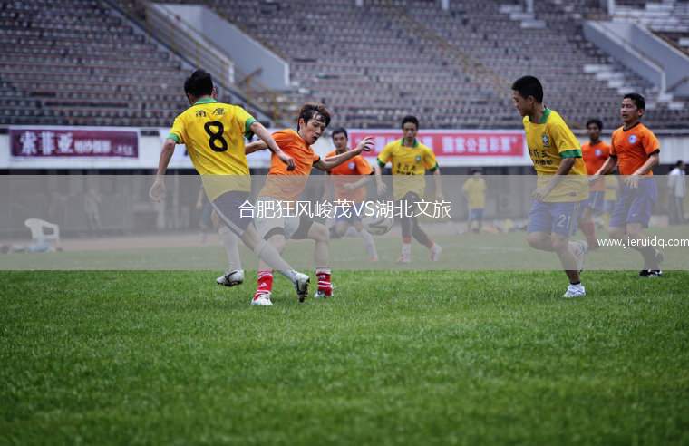 合肥狂風(fēng)峻茂VS湖北文旅