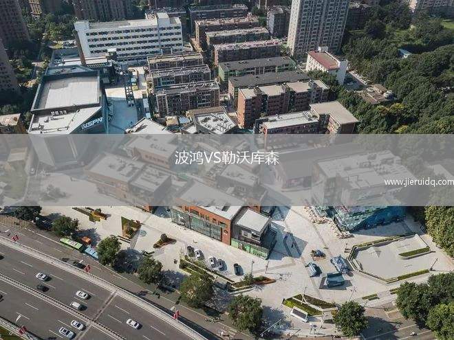 波鴻VS勒沃庫森