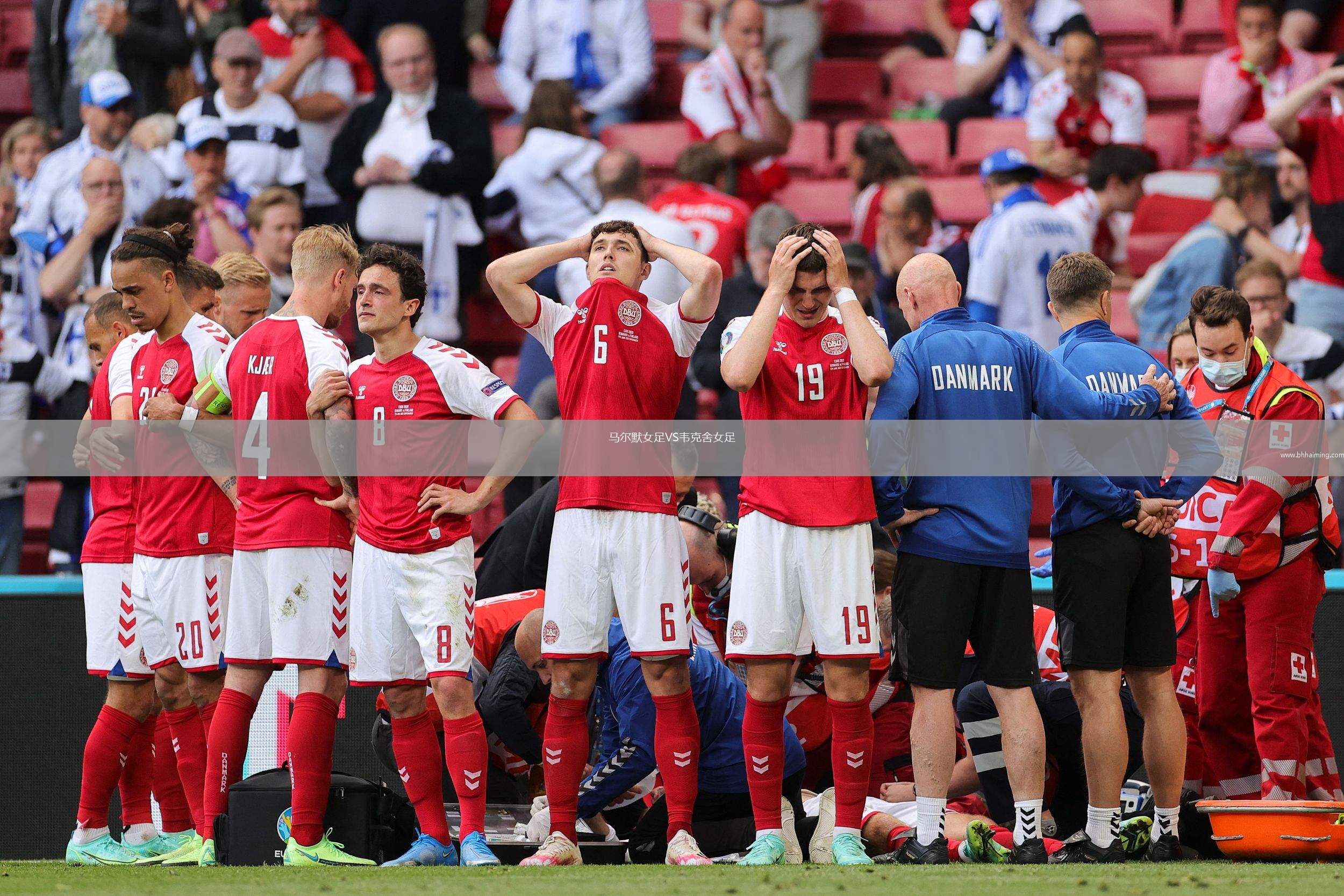 老虎大學VS休斯敦迪納摩