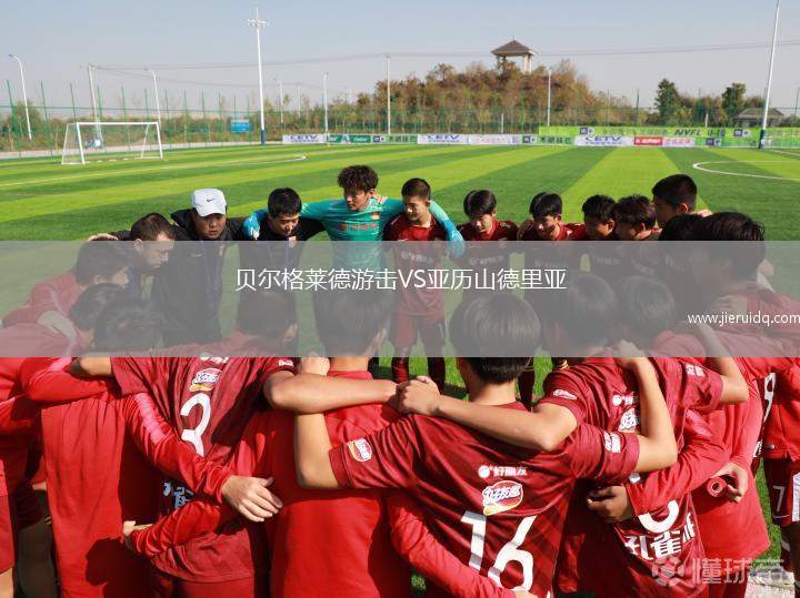 貝爾格萊德游擊VS亞歷山德里亞