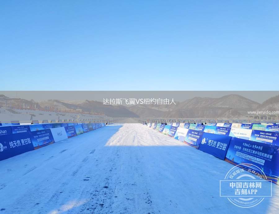 達拉斯飛翼VS紐約自由人