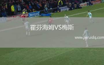 霍芬海姆VS梅斯