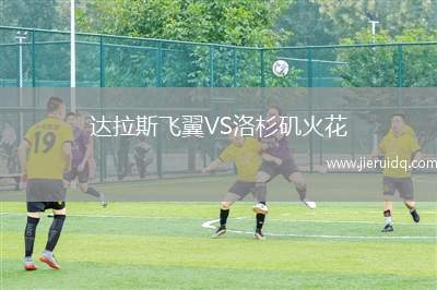 達拉斯飛翼VS洛杉磯火花