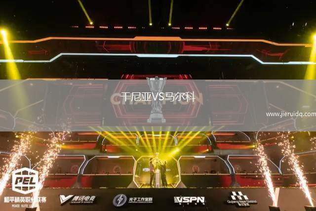 干尼亞VS馬爾科