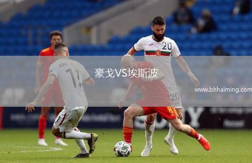 洛伊斯基VS王牌