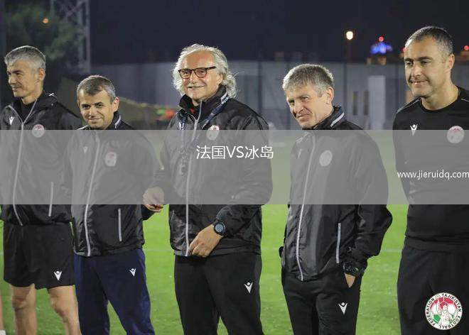 法國(guó)VS冰島