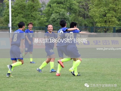 慕尼黑1860VS哈韋爾斯