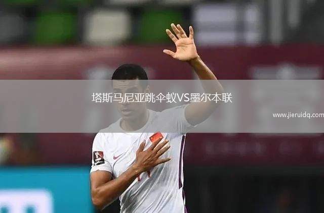 塔斯馬尼亞跳傘蟻VS墨爾本聯(lián)