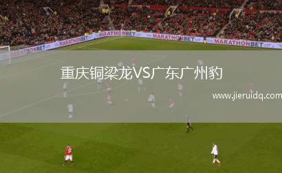 重慶銅梁龍VS廣東廣州豹