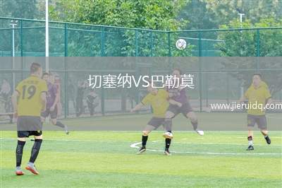 切塞納VS巴勒莫
