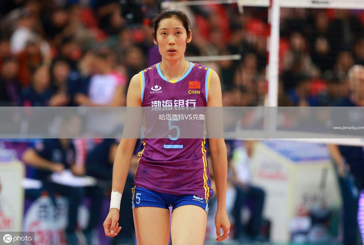 哈洛賈特VS克魯