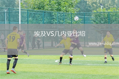 埃及VS幾內(nèi)亞比紹