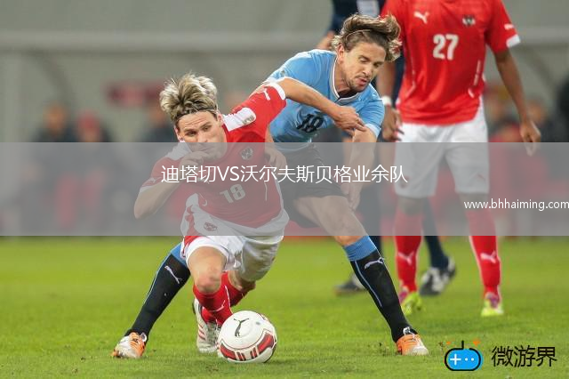 霍芬海姆青年隊VS奧厄