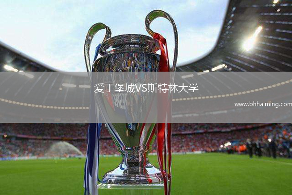 霍芬海姆VS海登海姆