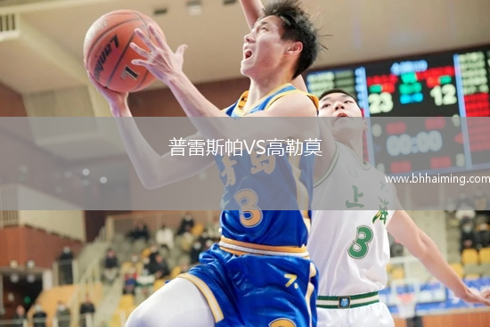 沃爾夫斯堡VS霍芬海姆