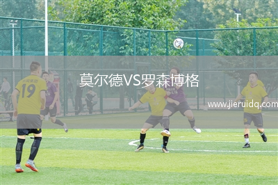 莫爾德VS羅森博格