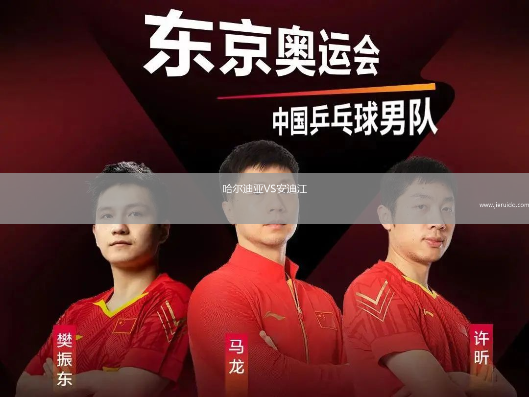 哈爾迪亞VS安迪江